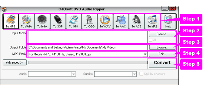 online help for DVD audio ripping