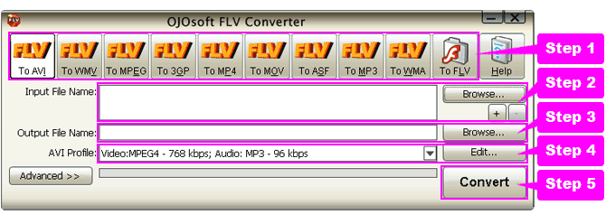online help for flv conversion
