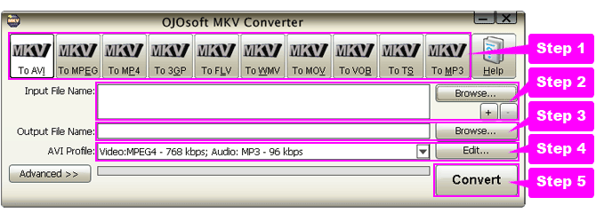 online help for MKV conversion