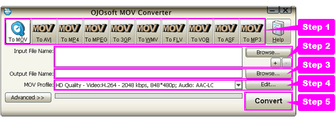 online help for MOV conversion