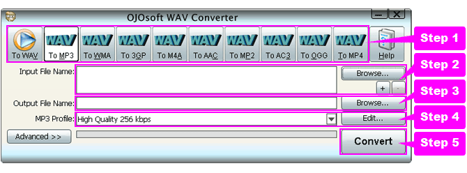 online help for WAV conversion