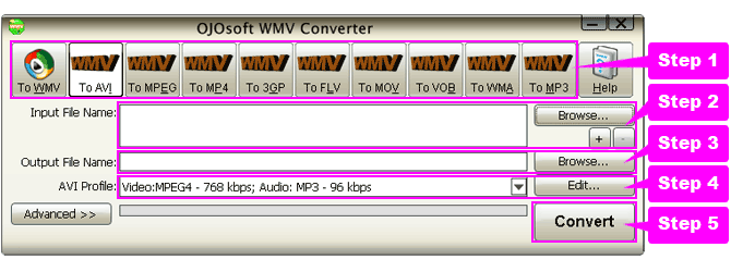 online help for WMV conversion