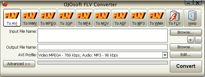 Interface of FLV converter