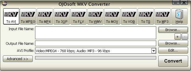 Interface of MKV converter